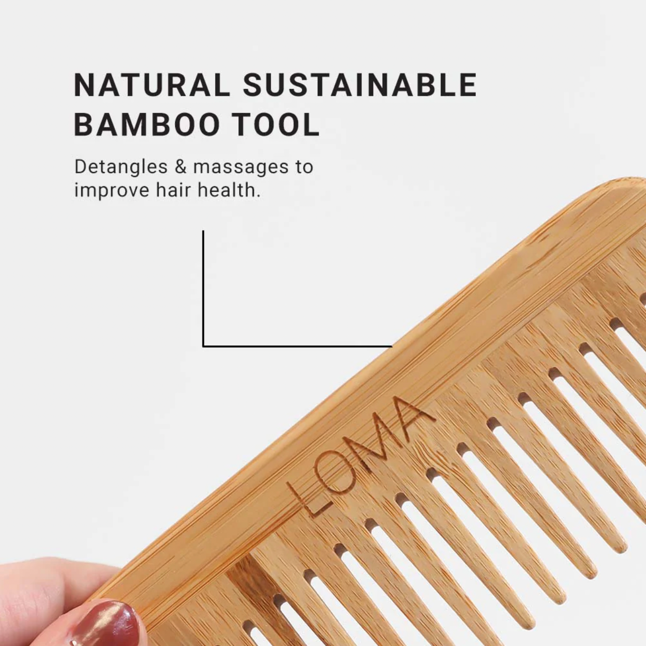 Loma Bamboo Brush Collection