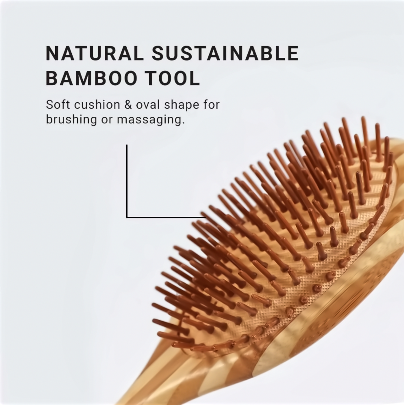 Loma Bamboo Brush Collection