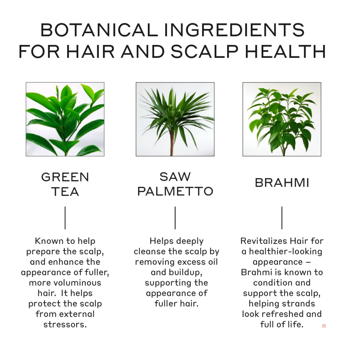 Revolve Women's Trio Kit