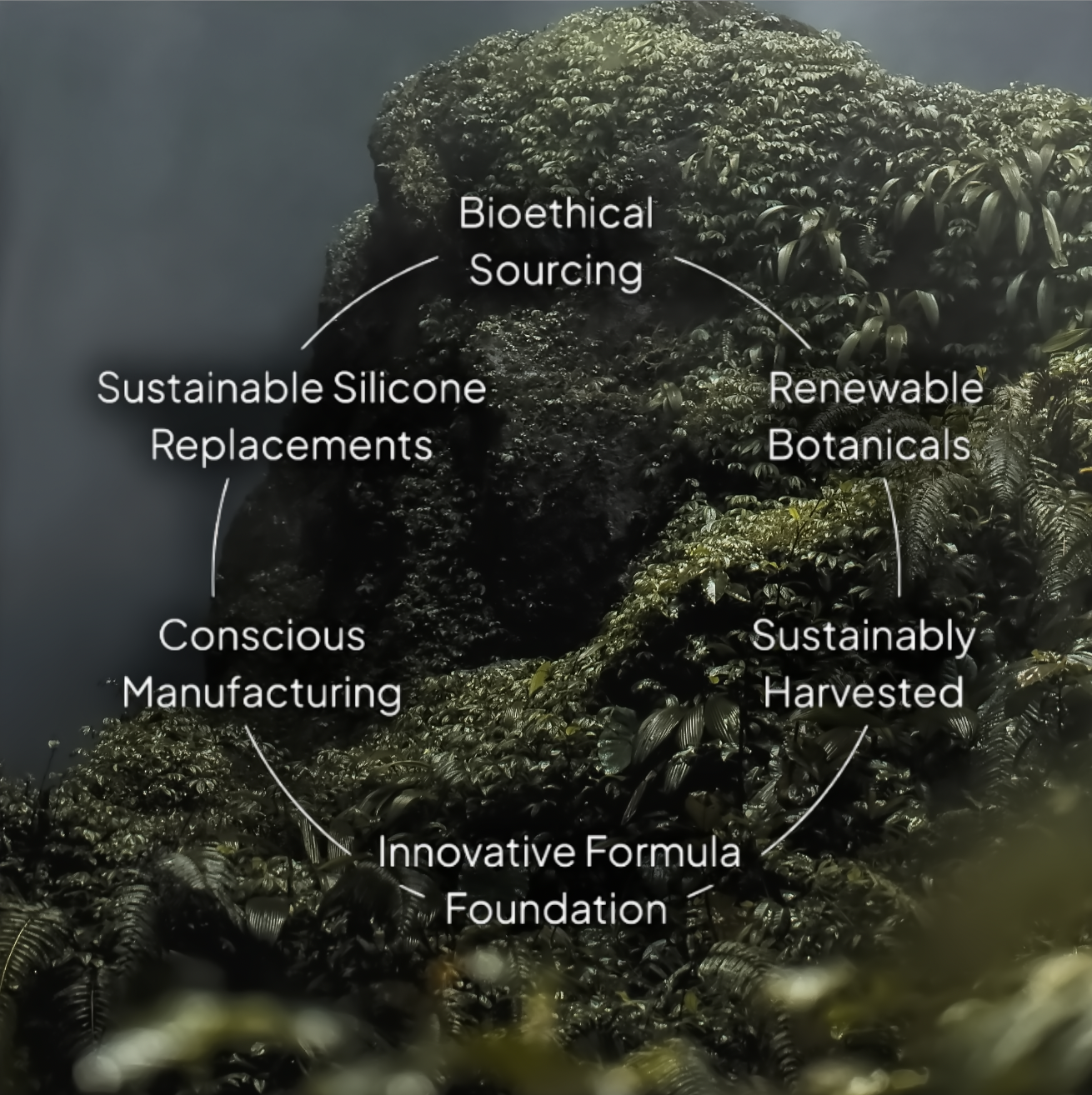 Loma Essentials Healthy Scalp Conditioner