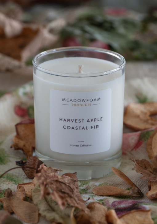 Meadowfoam Cocktail Candles 6oz