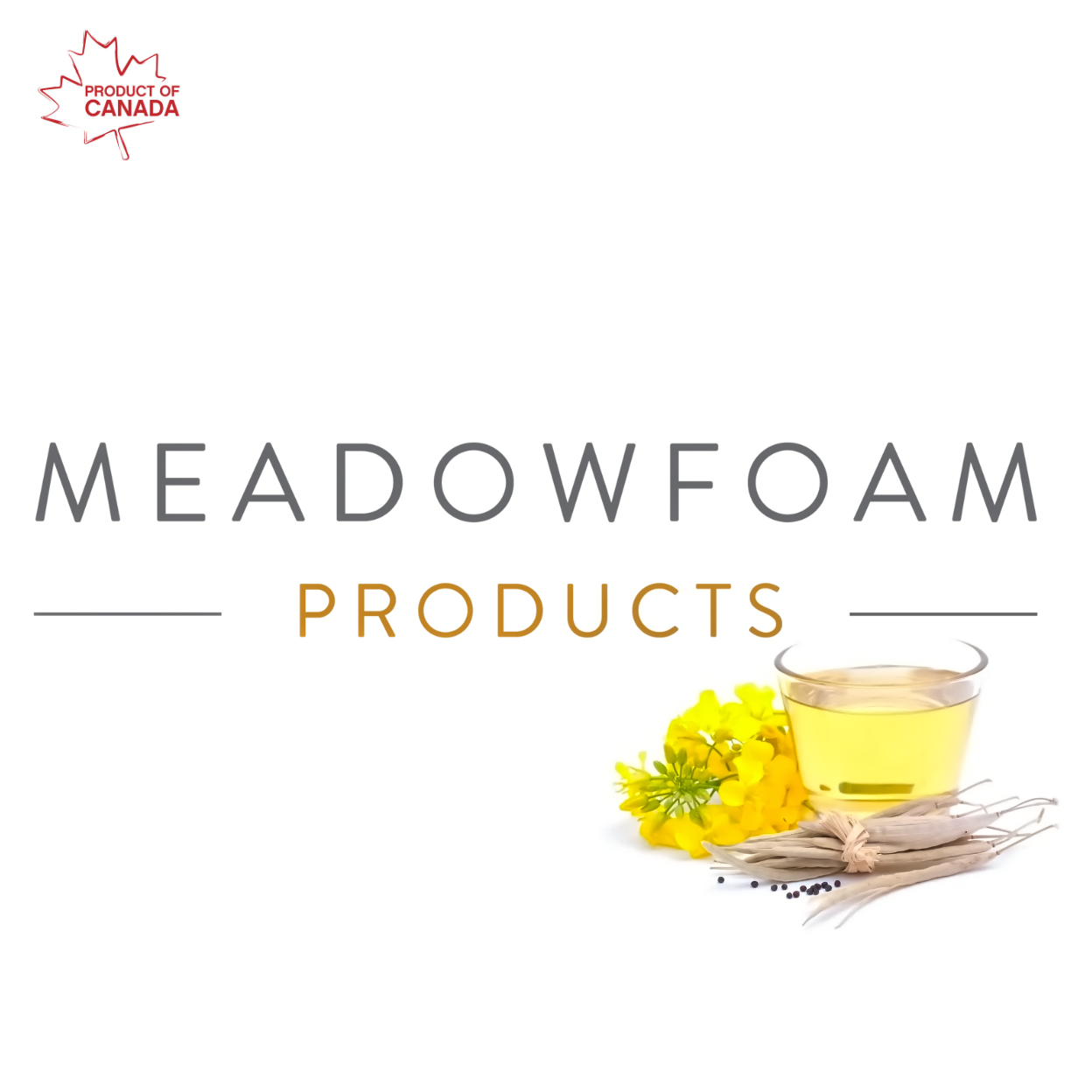 Meadowfoam