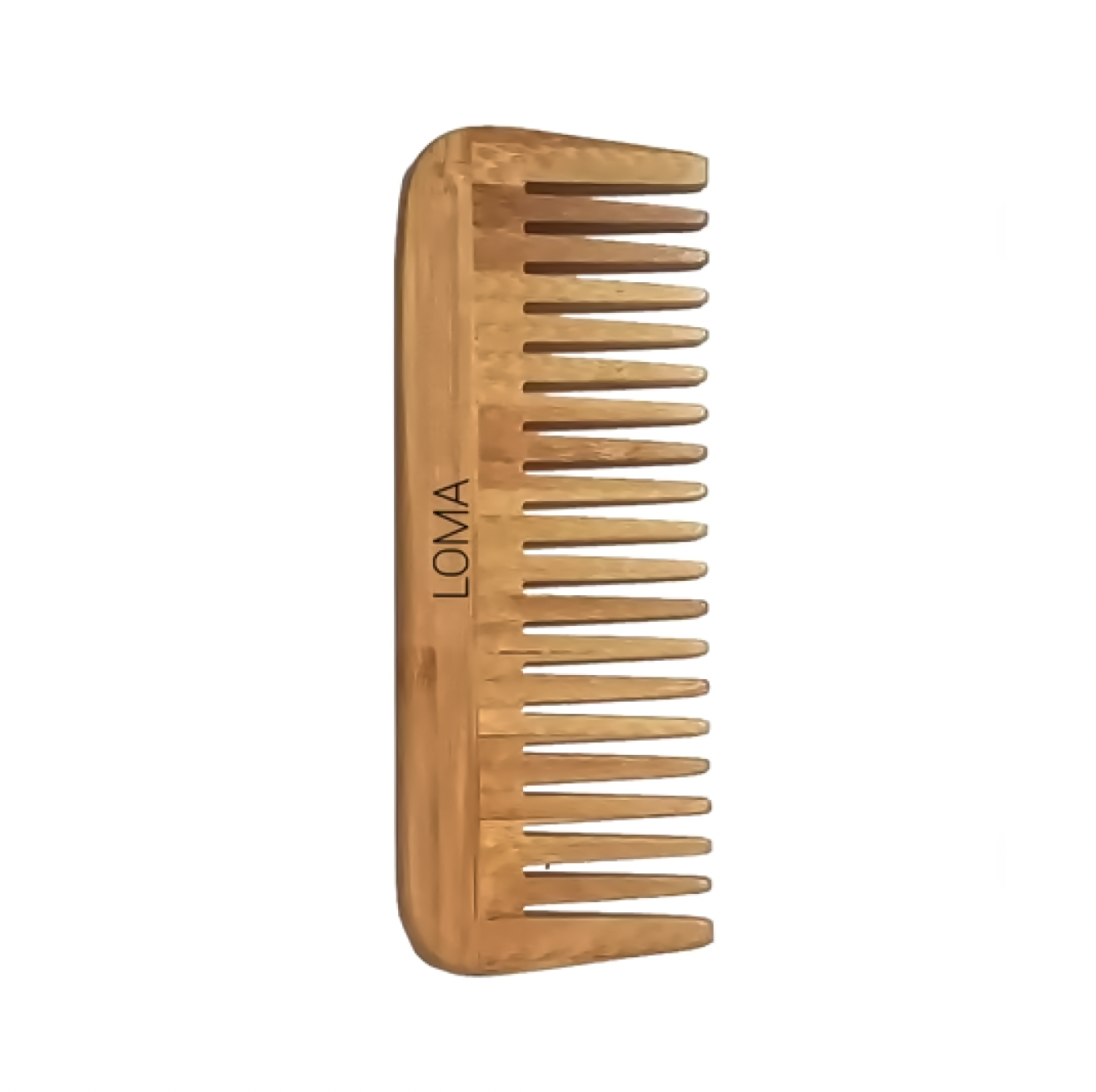 Loma Bamboo Brush Collection