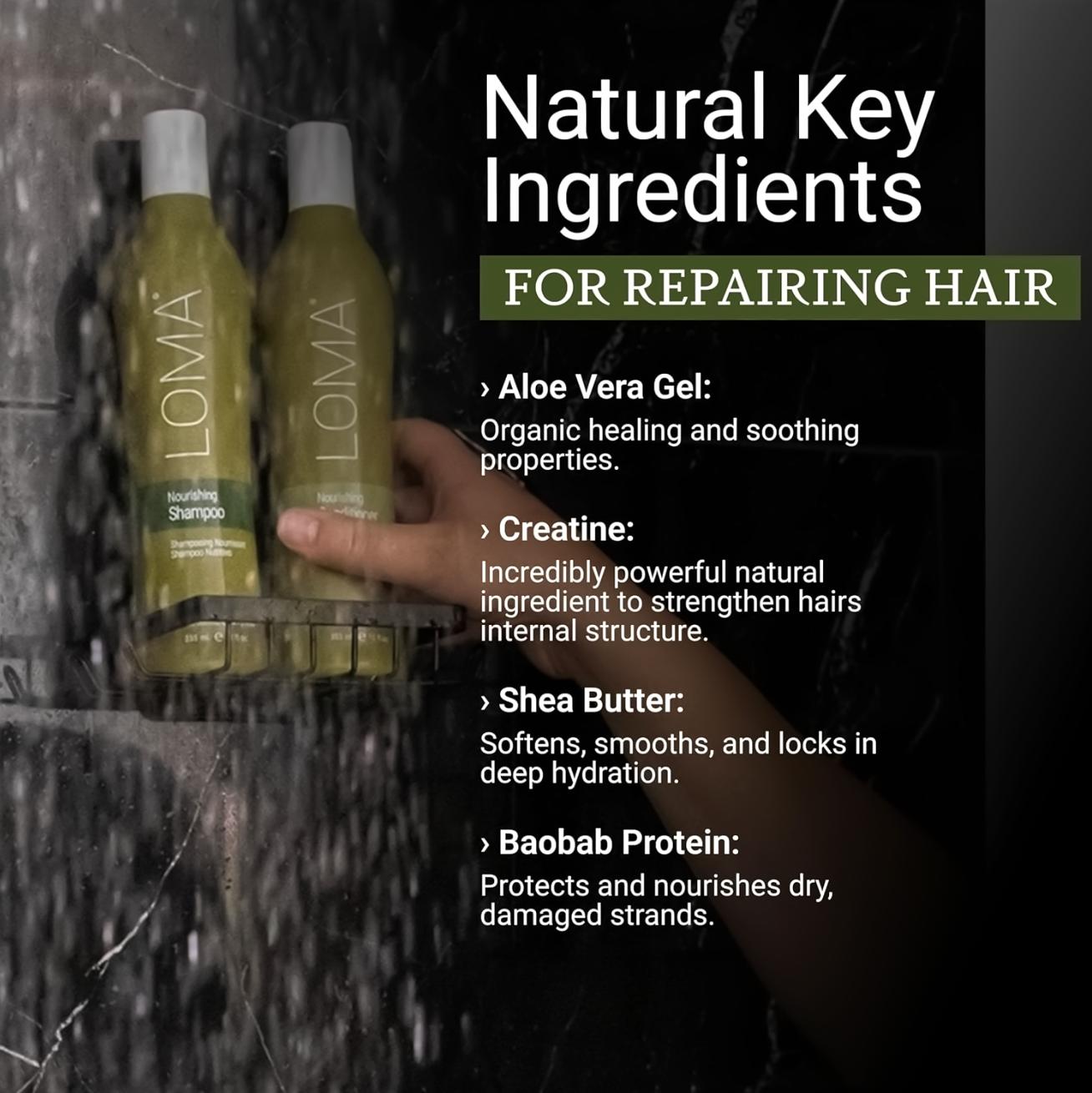 Loma Healthy Hair Builder Bundle