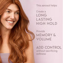 Aluram High Hold Finishing Spray