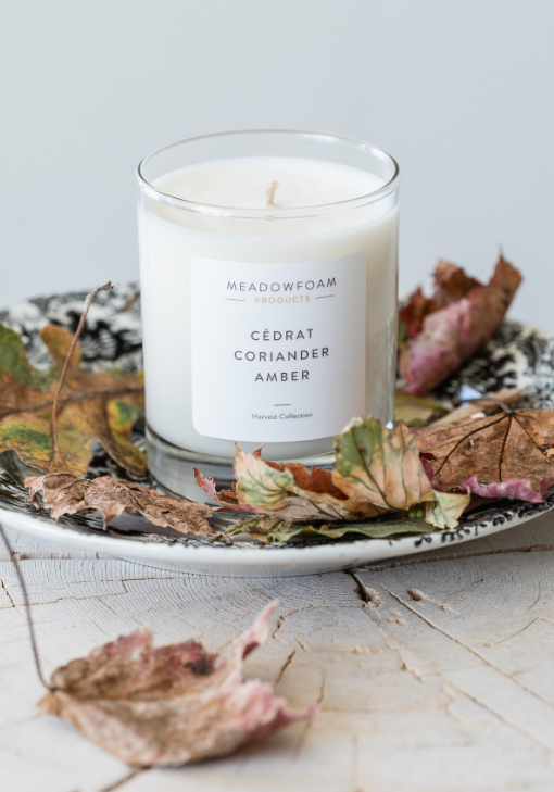 Meadowfoam Cocktail Candles 6oz