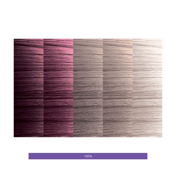 Calura Gloss Violet Series 6/V (Violet)